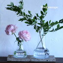 ファゴットL【 グリアガラス 】フラワーベース【枝物の花瓶】【大きい花びん】【ガラスベース】【インテリア】【フラワーギフト】【ドウダンツツジやブルーベリーなどの...