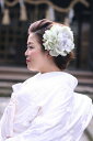 成人式に添える大きな芍薬◆アースピオニー【グリーンパープル】着物、和装に飾りたい華やかな和のお花、芍薬のお飾り【花嫁さんの和装の髪飾り】【色打掛に合わせたい芍薬】【成人式】【袴】