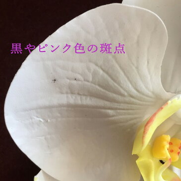 胡蝶蘭髪飾り【難ありB級品】【花嫁さんの白無垢に似合う髪飾り】【結婚式のヘア飾りに使えるファレノプシス】