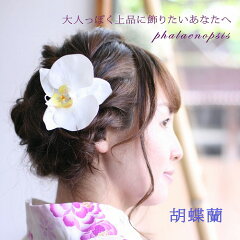 https://thumbnail.image.rakuten.co.jp/@0_mall/cafe-de-chai/cabinet/kanako/imgrc0065900032.jpg