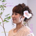胡蝶蘭の髪飾り【薄ピンク】【ミニサイズ】 花飾り 白無垢 ウェディングドレス 上品 胡蝶蘭 ヘッドドレス 【一本単位】【宅配便はケース付】