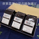 母の日 【 コーヒー ギフト 】トップスペシャルティコーヒー豆セット 200g×3種類 選べる600g コーヒー豆 豆 粉 ゲイシャ COE カップオブエクセレンス 自家焙煎 珈琲豆 御祝 内祝 プレゼント