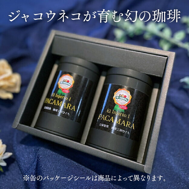 ＼ポイント10倍／ 【 コーヒー ギフト 】【在庫少】コピルアク 中深煎 100g 50g×2本 缶入り コーヒー豆 証明書付 ジャコウネコ が育んだ神秘の コピルアック コーヒー豆 珈琲豆 Kopi Luwak バリ島 ギフト 夏ギフト【送料無料】