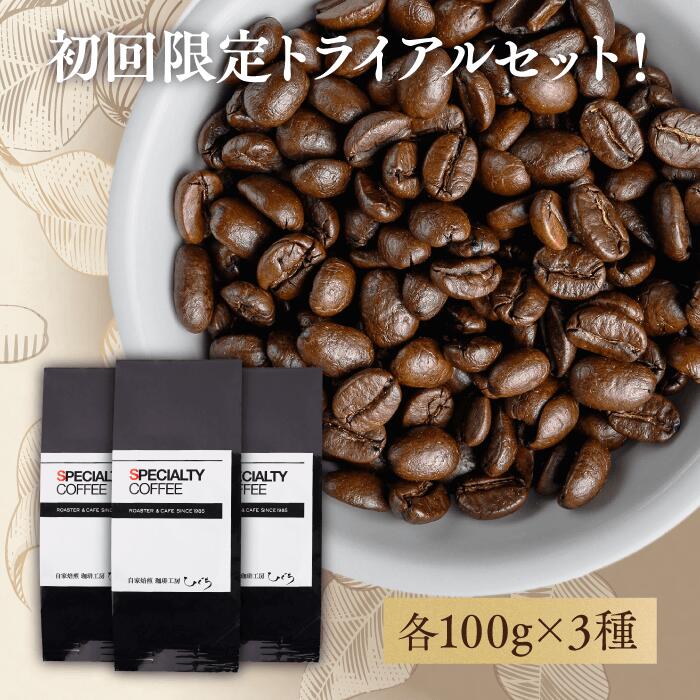 ＼ポイント10倍／ お試し 品質の高さを実感！ スペシャルティコーヒー豆 【300g】 100g×3種 30杯分 お試しセット（ドリップ1個プレゼント） 自家焙煎ドリップコーヒー コーヒー 珈琲 豆 粉 お試し 飲み比べ ギフト トライアル ブレンドコーヒー 【送料無料】