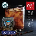 アイスコーヒー 水出しコーヒー コールドブリュー 10袋 8L分【40g×10パック】自家焙煎珈琲 水だしコーヒー 水出しアイスコーヒー 深煎り 無添加 ブラジル マンデリン 喫茶店 カフェ レインフォレストアライアンス認証