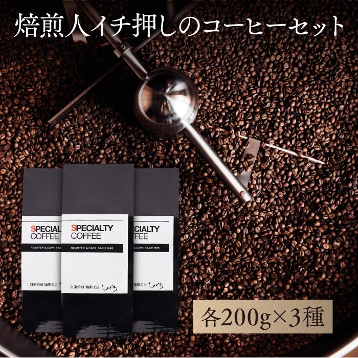 ＼ポイント10倍／ 【 コーヒー豆 】ロースターズセレクトコーヒー豆セット 各200g×3種類 【600g】 自家焙煎珈琲豆 コーヒー豆 コロンビア グァテマラ ホンジュラス カフェ 喫茶店 中煎 深煎 豆 粉 ひぐちコーヒー スペシャルティコーヒー シングルオリジン 送料無料