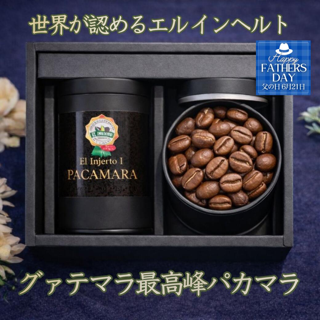 ＼スーパーセール20％OFF！／ 父の日 グァテマラ エル・インヘルト農園 パカマラ 中煎り 80g×2（160g）｜果実感あふれる高級スペシャルティコーヒー豆 ノンオークション内祝 プレゼント 自家焙煎 希少品種 高級 スペシャルティ 御祝