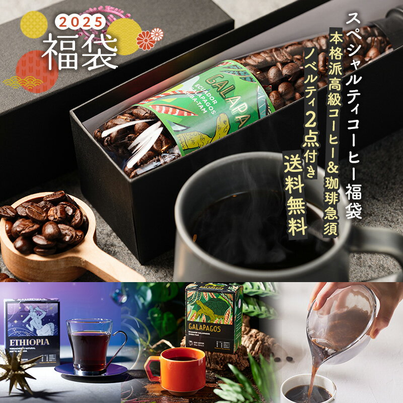 【残りわずか！1/7以降順次出荷】2025年 新春福袋 ≪ スペシャルティコーヒー 福袋 ≫送料無料 2025 コーヒー豆 コーヒー 珈琲 珈琲豆 スペシャルティ レギュラーコーヒー 透明急須 コーヒー急須 珈琲急須 京都 選べる 中身が見える 中身が分かるのサムネイル