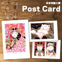 【可愛い和風ポストカード♪ 】 父の日 神猫様 ポストカード はがき ハガキ はがきデザイン 和風はがき お札 出産 内祝い 引っ越し 絵手紙 和風 はがき 礼...