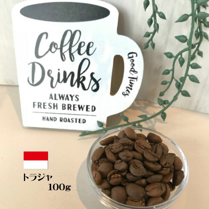 コーヒー豆【トラジャ ランテカルア インドネシア 100g】自家焙煎珈琲豆 スペシャリティー コーヒー カフェカンパニー グルメ 人気