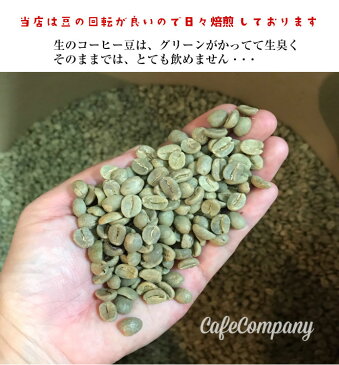 コーヒー豆 Qグレード【グァテマラ アルタス農園 200g】自家焙煎 珈琲豆 コーヒー 専門店 カフェカンパニー レギュラー 高級 高品質 グルメ 人気 おすすめ 豆のまま ガテマラ