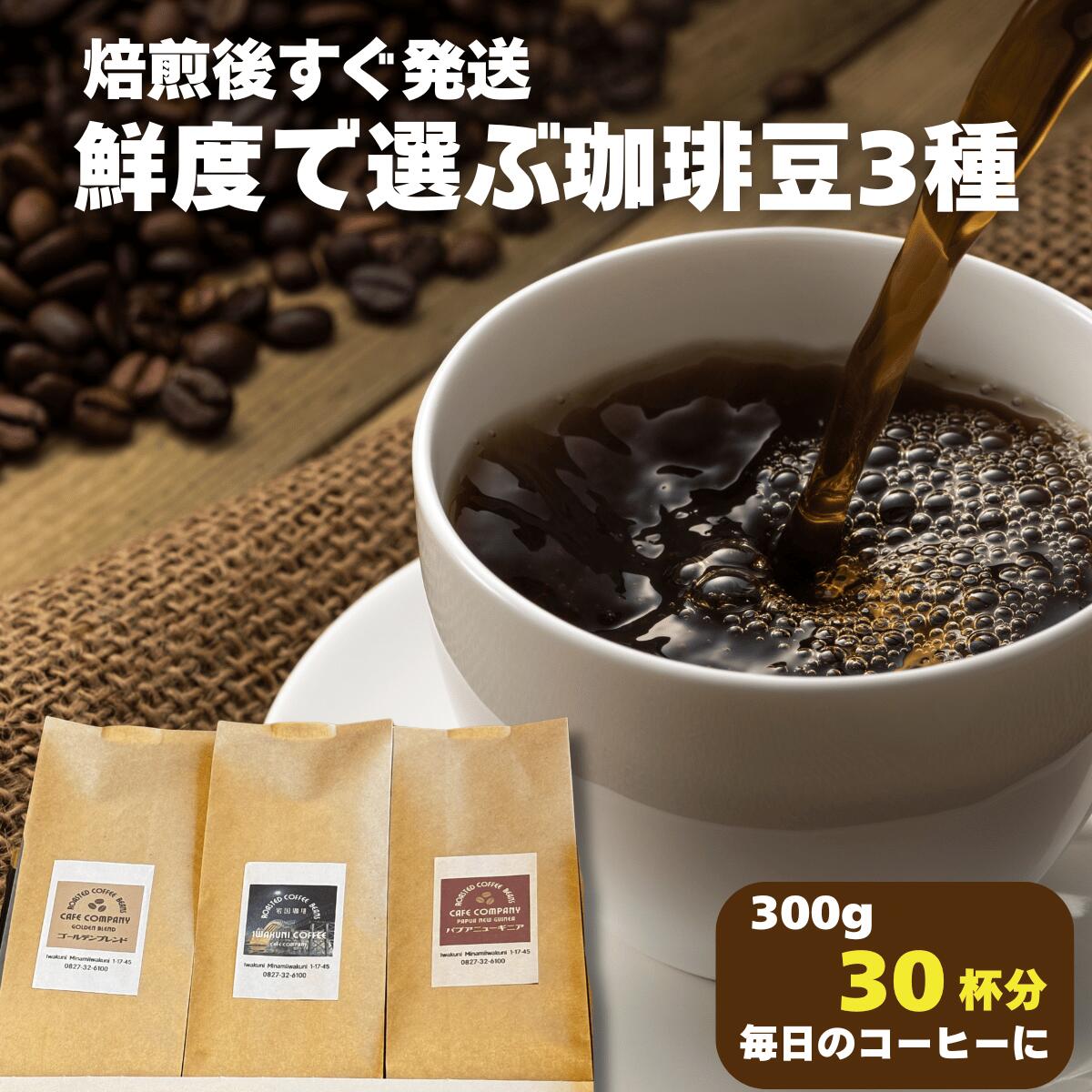 コーヒー コーヒー豆 送料無料 自家焙煎 珈琲豆 人気 300g（ 100g × 3種 ）中煎り ゴールデン ブレンド パプアニューギニア 岩国珈琲 飲み比べ セット スペシャリティ 豆 挽 おすすめ カフェカンパニー 山口 福袋