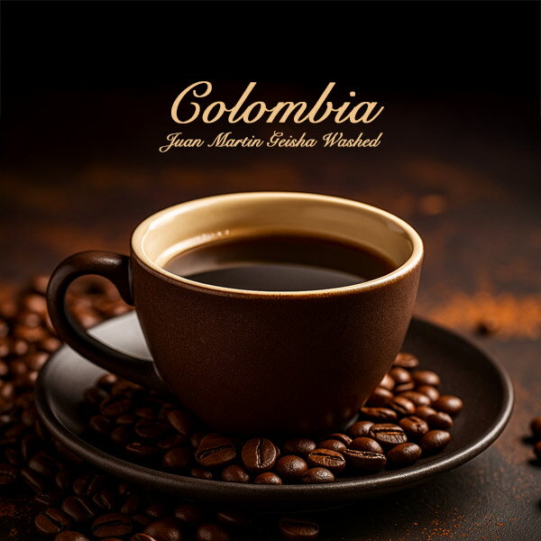 new!最高品質ゲイシャ コロンビア ファン・マルティン ゲイシャ ウォッシュド ミディアムハイロースト 中浅煎り 2025年6月生豆再入荷 発送日焙煎 丁寧なハンドピック