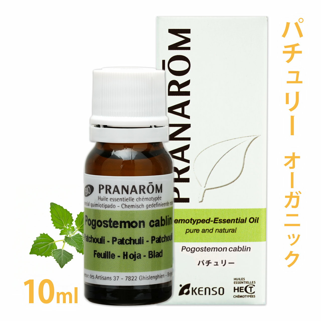 ץʥ ѥ꡼ 10ml  ѥ ѥ塼 ˥å    å󥷥륪 ޥ ޥƥԡ ...