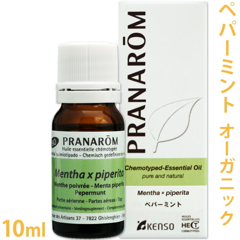 ץʥ ڥѡߥ 10ml  ˥å    å󥷥륪 ޥ ޥƥԡ ؼ 󥽡...