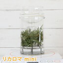 リカロマmini 家庭用アロマウォーター専用蒸留器【 精油 アロマ ハーブ 蒸留器 蒸留機 蒸留装置 おしゃれ 日本製 ガラス アロマウォーター ハーブウォーター フローラルウォーター 癒し 手作り リカロマ 芳香蒸留水 ハイドロソル 水蒸気蒸留法 】