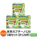 送料無料｜スティック 抹茶カプチーノ120（12g×40本×