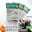送料無料 ドリップコーヒー マグドリップ 12g×100袋 (アイス/アイスコーヒー)