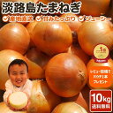 玉ねぎ【プレゼント企画】淡路島玉葱 10kg たまねぎ クラフトタマネギ タマネギ 送料無料 オニオン【 10kg 】サイズ 個数お任せ 甘い 淡路玉ねぎ 農家 南淡路 淡路島 食べる玉ねぎドレッシング 品種 農家直送 おいしい