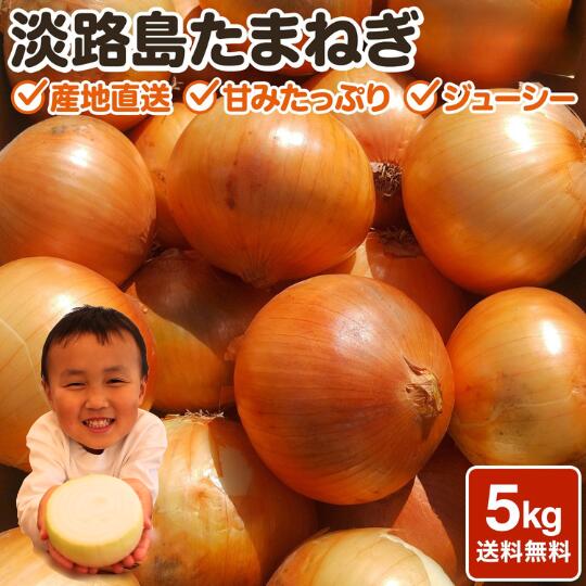 玉ねぎ 淡路島玉葱 5kg たまねぎ タマネギ 送料無料 オニオン【 5kg 】サイズ クラフトタマネギ 個数お任せ 甘い玉ねぎ 淡路玉ねぎ 農家 南淡路 淡路島 食べる玉ねぎドレッシング アワジブランド