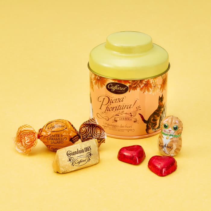 【 公式 カファレル caffarel 】ねこのキャニスターS缶【 バレンタイン ホワイトデー お菓子 ギフト 可愛い 詰め合わせ カレンダー チョコレート チョコ プレゼント おしゃれ 高級チョコレート ジャンドゥーヤ ねこ 猫 手土産 誕生日 ご褒美スイーツ 】のサムネイル