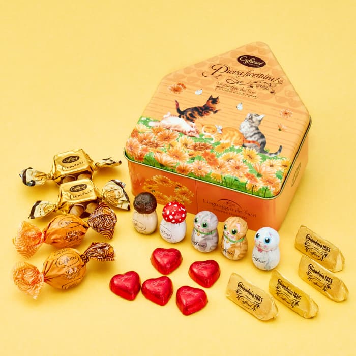 【 公式 カファレル caffarel 】ねこのハウス缶【 バレンタイン ホワイトデー ねこの日 お菓子 ギフト 可愛い 缶 詰め合わせ チョコレート チョコ 個包装 プレゼント おしゃれ 高級チョコレート ジャンドゥーヤ リス うさぎ お菓子缶 手土産 お礼 ご褒美】