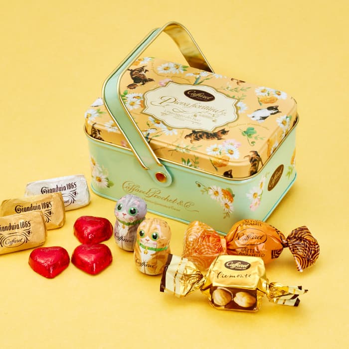 【 公式 カファレル caffarel 】ねこのバスケット缶【 バレンタイン ホワイトデー ねこの日 お菓子 ギフト 可愛い 詰め合わせ チョコレート チョコ プレゼント おしゃれ 高級チョコレート ジャンドゥーヤ ねこ 猫 手土産 誕生日 ご褒美スイーツ 】のサムネイル
