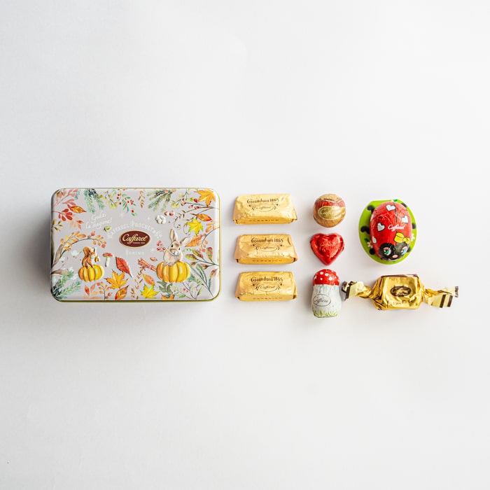 【 カファレル 限定缶 】オータムスクエア缶【 ハロウィン お菓子 缶 かわいい 可愛い 個包装 プチギフト チョコレート チョコ 詰め合わせ 猫 ねこ プレゼント ギフト おしゃれ 誕生日 パーティー 結婚 お返し お礼 1000円 ジャンドゥーヤ ハロウィン2024 caffarel 】のサムネイル