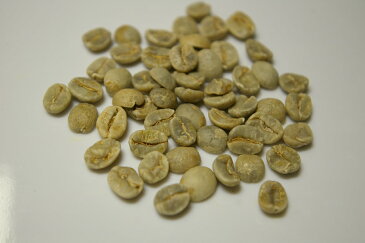 ■送料無料■【ドリップ用】ブラジル セミウォッシュド 生豆時450g (焙煎後360g前後)