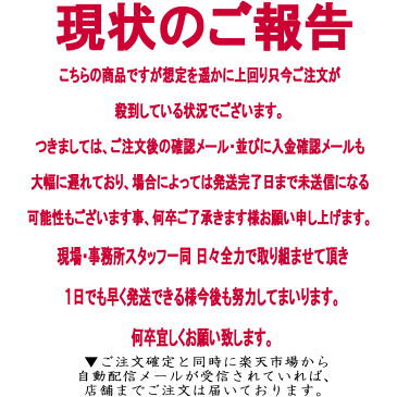 衛生シート 50枚入り マスク専用 とりかえシート 不織布 日本製 薄い 極薄 花粉症対策 フィルターシート 取り替えシート シート コロナウイルス対策 マスクシート 取替えシート 使い捨て 再利用 インフルエンザ対策 アレルギー 化粧崩れ 口元清潔 送料無料 キャンセル不可