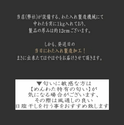 ヌード座布団 八端判 59x63cm カバー用 中材は 綿わた ポリエステルわた との 混合ミックスわた しっとり感とふっくら感の融合 日本製ヌードクッション ヌード座布団 国産 業務用 居酒屋 旅館 座布団中身 ザブトン ざぶとん [2]