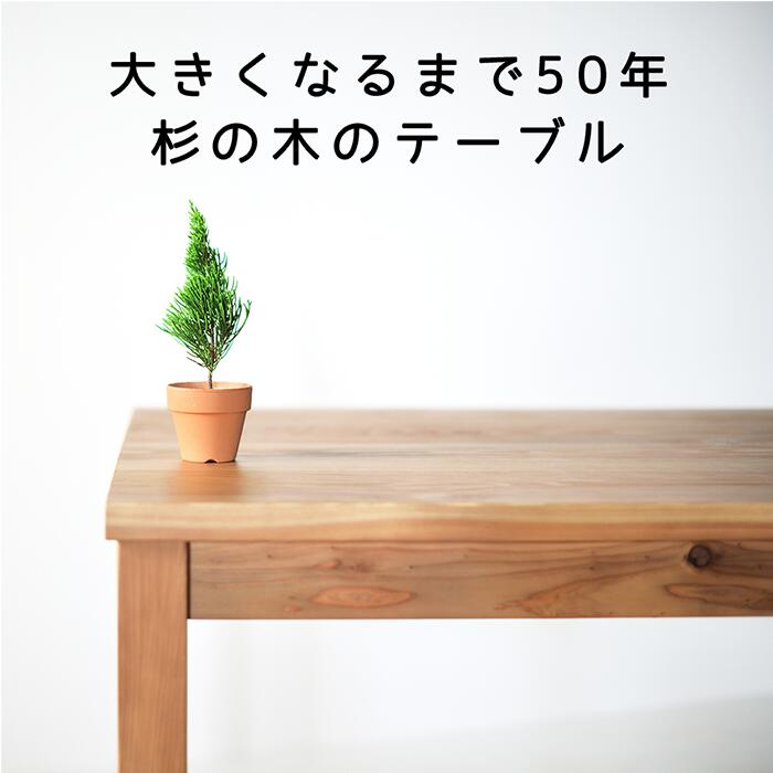 【国産なのに安い！】レスキューテーブル　4人掛け　120×72　国産杉　無垢材　天然木　ダイニングテーブル　ウレタン塗装