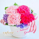 プリザーブドフラワー 女性 誕生日プレゼント 女友達 誕生日 30 40 50 代 クリスマス フト 喜寿 花 バラ 結婚式 結婚祝い 誕生日 米寿のお祝い ブ...