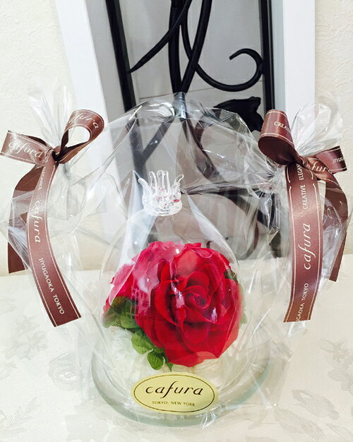 プリザーブドフラワー ギフト プレゼント ガラスドーム おしゃれ 誕生日 誕生日祝い お祝い 枯れないバラ 贈り物 卒業 バレンタイン おしゃれ ギフト バラ 花 卒業祝い 先輩 部活 送別 合格 式 先生 送別会 卒業記念品 入学 入社 異動 退職格安通販　バレンタイン　人気　ランキング