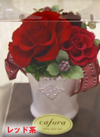 プリザーブドフラワー プリティーカップ 枯れない花 誕生日 プレゼント 記念日 卒業 バレンタイン おしゃれ 卒園式 ギフト バラ 花 卒業祝い 先輩 部活 送別 合格 式 先生 プレゼント プチギフト 送別会 卒業記念品 入学 入社 異動 退職格安通販　バレンタイン　人気　ランキング