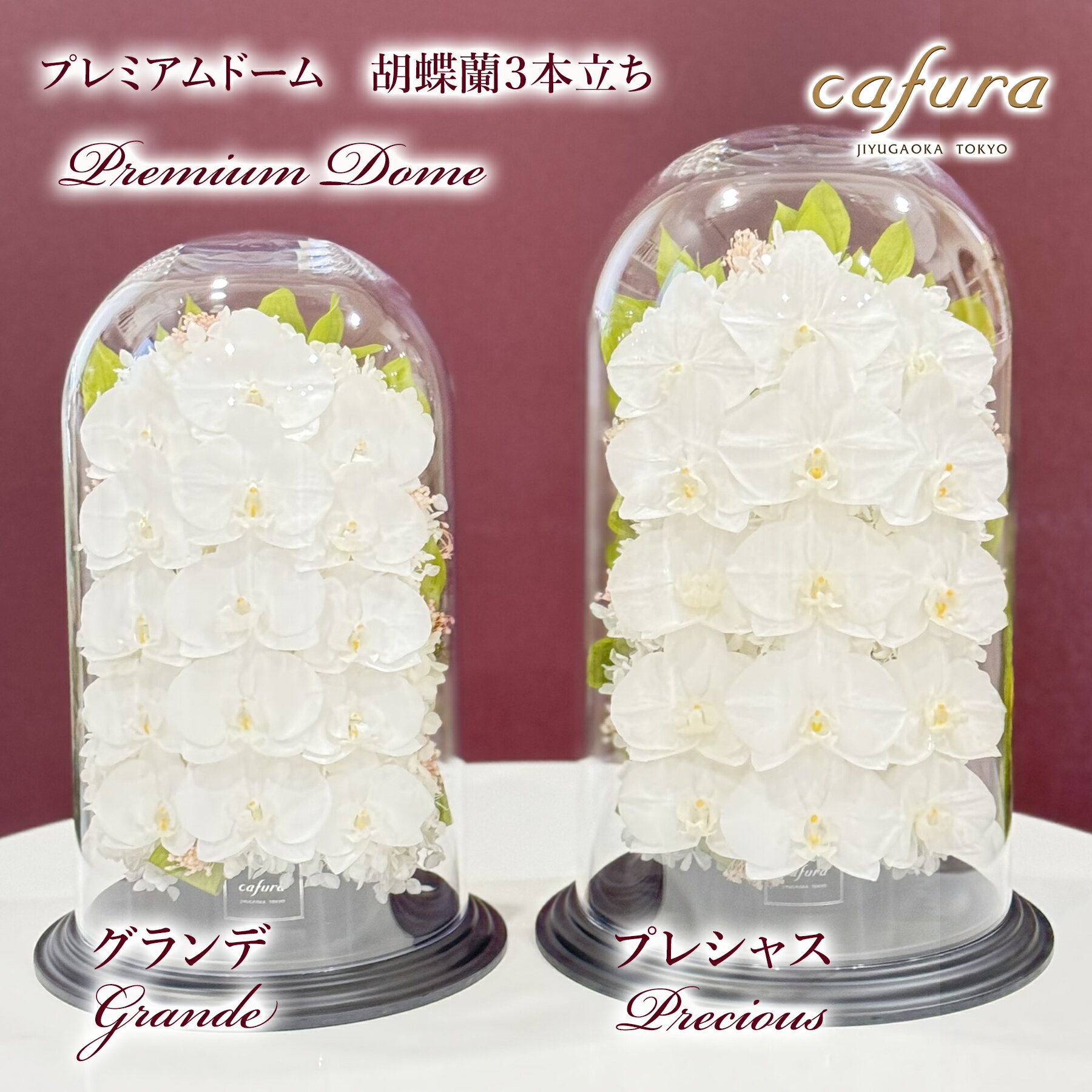 プリザーブドフラワー 胡蝶蘭 ガラスドーム 三本立ち 名入れ お祝い お彼岸 記念日 記念品 御祝 お供え お悔やみ 法事 就任 昇進 栄進 退職 長寿 御祝い 開業祝 新築祝 誕生日 命日 法事 贈答品 ブリザードフラワー 古希 還暦 傘寿 米寿 喜寿 卒寿 ブリザーブドフラワー