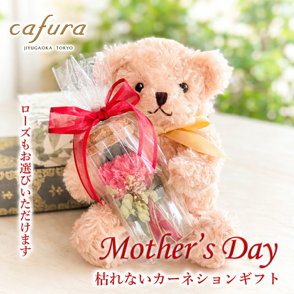 母の日 花 プリザーブドフラワー カーネーション テディベア ぬいぐるみ 一輪のバラ 女性 誕生日 プレゼント くまのぬいぐるみ 母の日プレゼント 女友達 誕生日 電報 花束 ブーケ 母 義母 祖母 妻 退職 送別 かわいい 贈り物 くま ブリザードフラワー 祝電 結婚式 還暦祝い