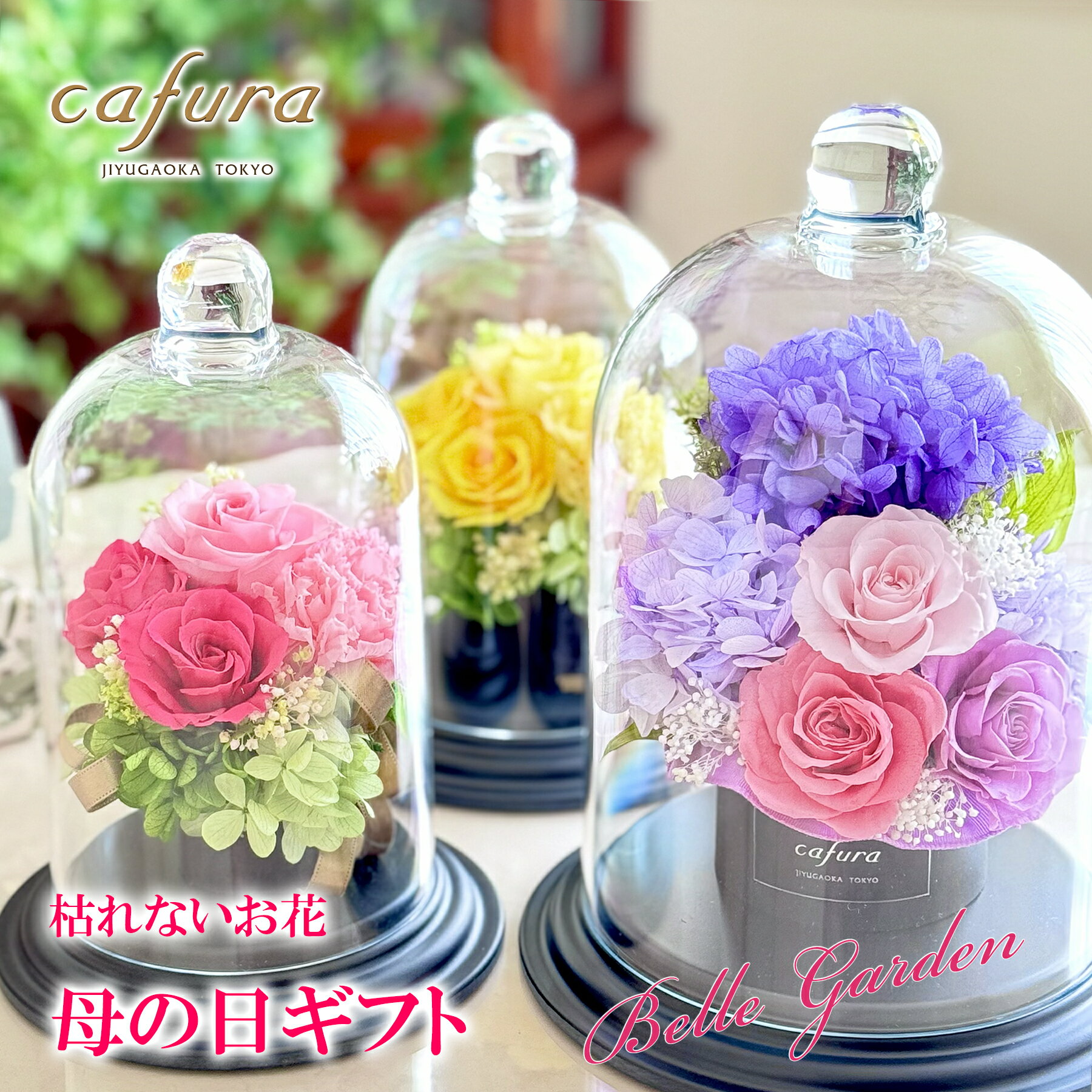 母の日 花 ギフト プリザーブドフラワー フラワードーム アジサイ カーネーション あじさい バラ 紫 紫陽花 母の日2026 花ギフト 母の日のお花 誕生日 結婚式 記念品 退職 両親 妻 女友達 母 義母 叔母 古希 喜寿 祝い 古希 ブリザーブド ブリザードフラワー