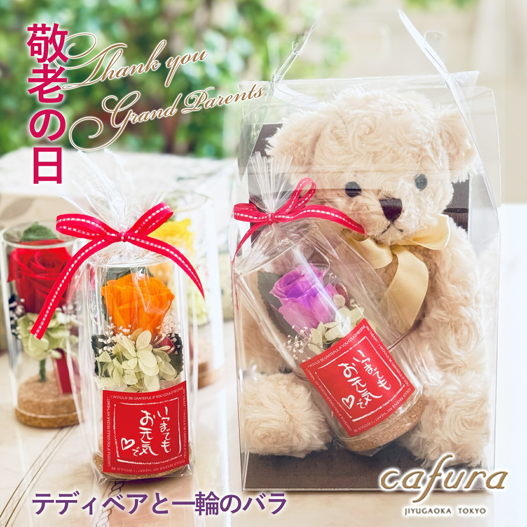 楽天市場】母の日 カーネーション（植物の本数1本）の通販