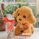 プリザーブドフラワー ギフト カーネーション ボトルフラワー 花 誕生日 プレゼント ぬいぐるみ 犬 イヌ ワンちゃん トイプードル おしゃれ 花束 女友達 母...