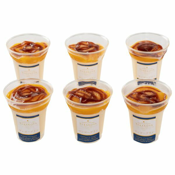 ＜東京・小金井＞TERAKOYA監修 濃厚マンゴープリン ギフト 贈り物 送料無料【産直】[24]