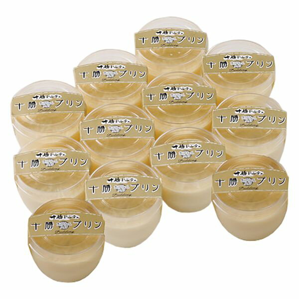 北海道 十勝プリン ギフト 贈り物 送料無料【産直】[24]
