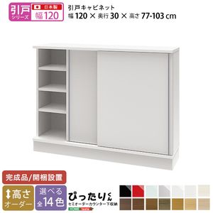 【引戸シリーズ】セミオーダーカウンター下収納ぴったりくん キャビネット 幅120cm×奥行30cm[L][03]