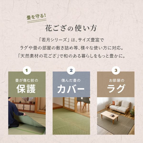 い草カーペット 若月 約191×286cm 本間 3畳 3帖 敷き詰め 柄上敷き 花ござ い草ラグ 和モダン 市松模様 萩原 [29] [3]