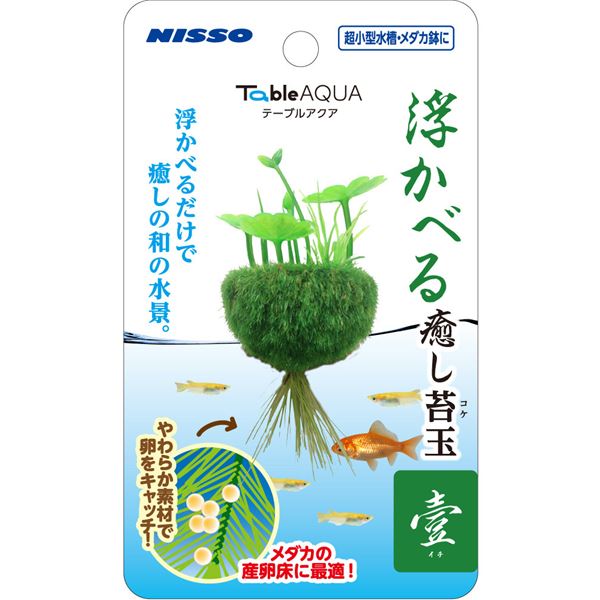 （まとめ）テーブルアクア 浮かべる癒し苔玉 壹（イチ）【×3セット】 (観賞魚/水槽用品)[21]