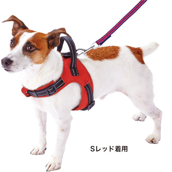 ラブハーネス S レッド (犬用品/ハーネス)[21] 2