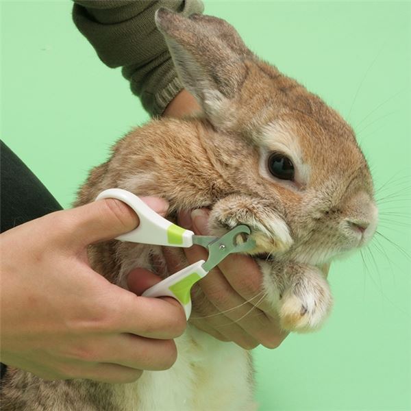 （まとめ）ウサギのカーブ型つめきり【×3セット】 (小動物用品/ブラシ・手入れ用品)[21] 3