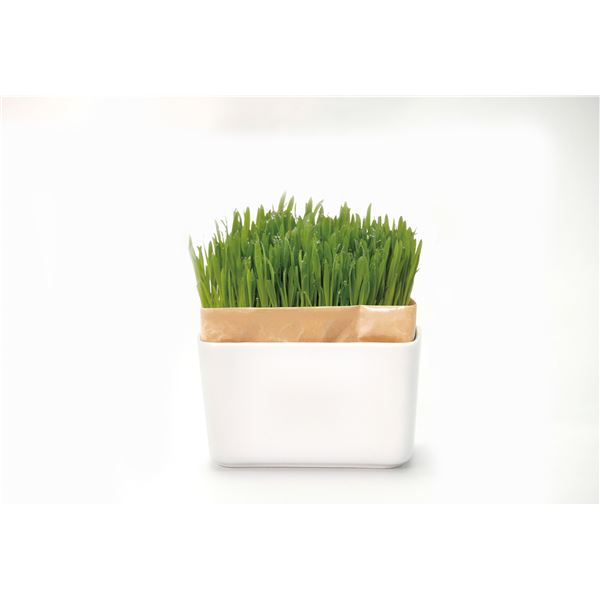 猫用品 ペット用品 ネコクササイバイキット にゃんベジセットN 日本製[21]