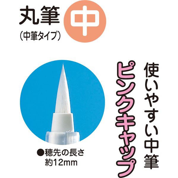 （まとめ）呉竹 フィス水筆ペン 中【×10セット】 [21]