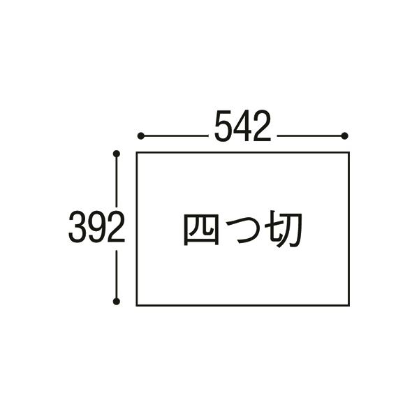 リンテック ニューカラーR 四つ切 ライトブルー 4NCR-132 1パック(100枚)[21] 3